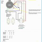115 Volt Motor Wiring Diagram   Wiring Diagrams Hubs   Century Motor Wiring Diagram