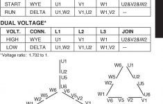 12 Lead Motor Wiring Diagram Iec | Manual E-Books - 3 Phase Motor Wiring Diagram 12 Leads