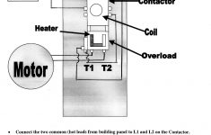 220V Single Phase Motor Wiring Diagram | Manual E-Books - 220V Single Phase Motor Wiring Diagram