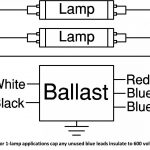 277 Volt Wiring Diagram Lamp   Trusted Wiring Diagram Online   277 Volt Wiring Diagram
