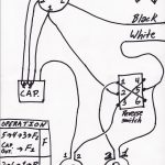 3 Wire Capacitor Ceiling Fan Wiring Schematic | Wiring Diagram   4 Wire Ceiling Fan Switch Wiring Diagram