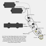 62 Jazz Bass Wiring Diagram | Wiring Diagram   P Bass Wiring Diagram