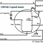 Best Hampton Bay 3 Speed Ceiling Fan Switch Wiring Diagram   3 Speed Ceiling Fan Switch Wiring Diagram