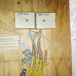 Cat5 Wiring Home | Wiring Diagram   Cat5 Wiring Diagram