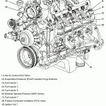 Chevy 7 4L Engine Diagram   Wiring Diagram Data   Mercruiser Wiring Diagram