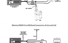 Chevy Lt1 Msd Ignition Wiring Diagram | Manual E-Books - Msd Ignition Wiring Diagram Chevy