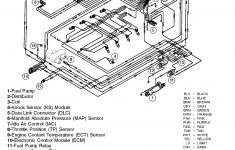 Cp Performance - Wiring Harness (Efi) - Mercruiser Wiring Diagram