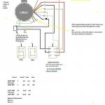Dayton Electric Motor Wiring Diagram   Wiring Library   Dayton Electric Motors Wiring Diagram Download