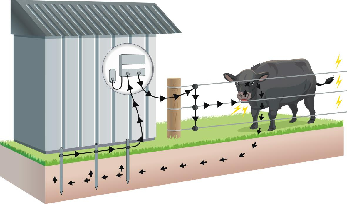 Electric Fencing Basics | Gallagher Electric Fence Usa - Electric Fence Wiring Diagram