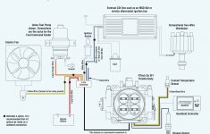 fitech wiring w cdi box and petronix distributor vintage mustang fitech wiring diagram Fitech Wiring W/cdi Box And Petronix Distributor - Vintage Mustang - Fitech Wiring Diagram
