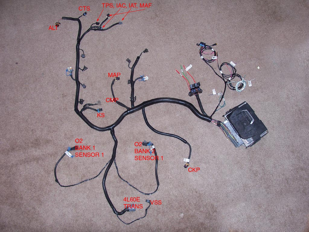 Gen 3 Ls1 Wiring Harness Diagram | Wiring Diagram - Ls1 Wiring Harness Diagram
