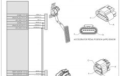 Gm Ls3 Engine Wiring Diagram | Wiring Library - Accelerator Pedal Position Sensor Wiring Diagram