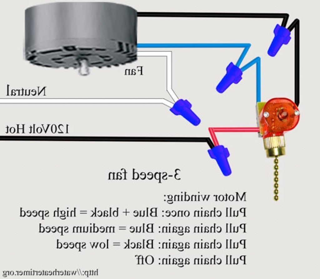 Diagram 3 Speed Ceiling Fan Switch Wiring Diagram Full Version Hd Quality Wiring Diagram Wiringri Lafabbricadegliingegneri It