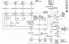 Help, Neutral Safety Switch Wiring - Ls1Tech - Camaro And Firebird - Neutral Safety Switch Wiring Diagram Chevy