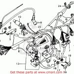 Honda Ruckus Wiring Harness | Best Wiring Library   Honda Ruckus Wiring Diagram