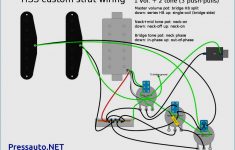 Hss Wiring Diagram Two Tone | Manual E-Books - Hss Wiring Diagram Coil Split