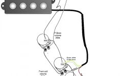 Jazz Bass Wiring Diagram Excellent Stain Pickup Best Collection And - Jazz Bass Wiring Diagram