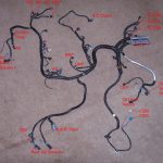 Ls1 Wiring Harness Pinout   Today Wiring Diagram   Ls Wiring Harness Diagram