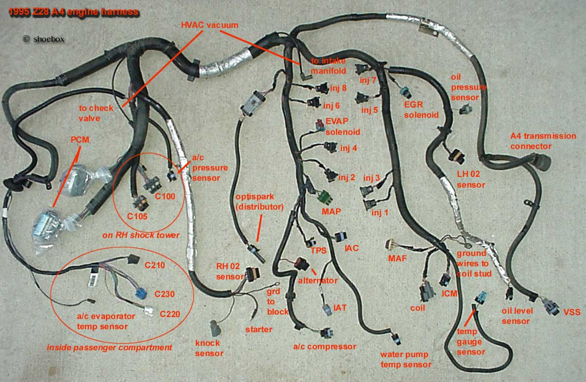 Modifying Ls1 Wiring Harness | Wiring Diagram - Ls1 Wiring Harness Diagram