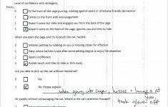 Pioneer Deh X6800Bt Wiring Diagram 2 | Manual E-Books - Pioneer Deh-X6800Bt Wiring Diagram