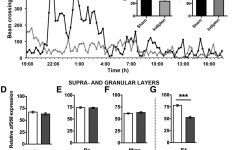 Ready Remote 21994 Wiring Diagram Best Of Regional Specificity Of - Ready Remote Wiring Diagram