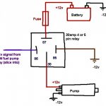 Rib Relay Wiring Diagram | Wiring Diagram   Rib Relay Wiring Diagram