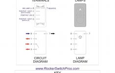 Rocker Switch Wire Diagram - Wiring Diagram Data Oreo - 5 Pin Relay Wiring Diagram