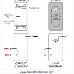 Rocker Switch Wiring Diagrams | New Wire Marine   Carling Switch Wiring Diagram