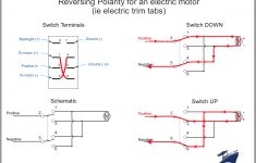 Rocker Switch Wiring Diagrams | New Wire Marine - Carling Switches Wiring Diagram