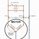 Single Phase Capacitor Start Capacitor Run Motor Wiring Diagram   Capacitor Start Motor Wiring Diagram