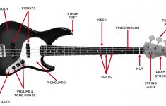 Squier Affinity Jazz Bass Wiring Diagram | Manual E-Books - Fender P Bass Wiring Diagram