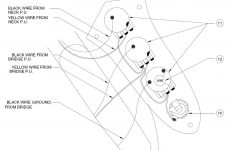 Standard P Bass Wiring Diagram | Wiring Diagram - Fender Jazz Bass Wiring Diagram