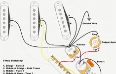 Stratocaster Wiring Diagram