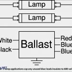 Wiring Diagram For T8 2 Lamp | Manual E Books   2 Lamp T8 Ballast Wiring Diagram