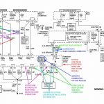 Wiring Harness Information   Ls Standalone Wiring Harness Diagram